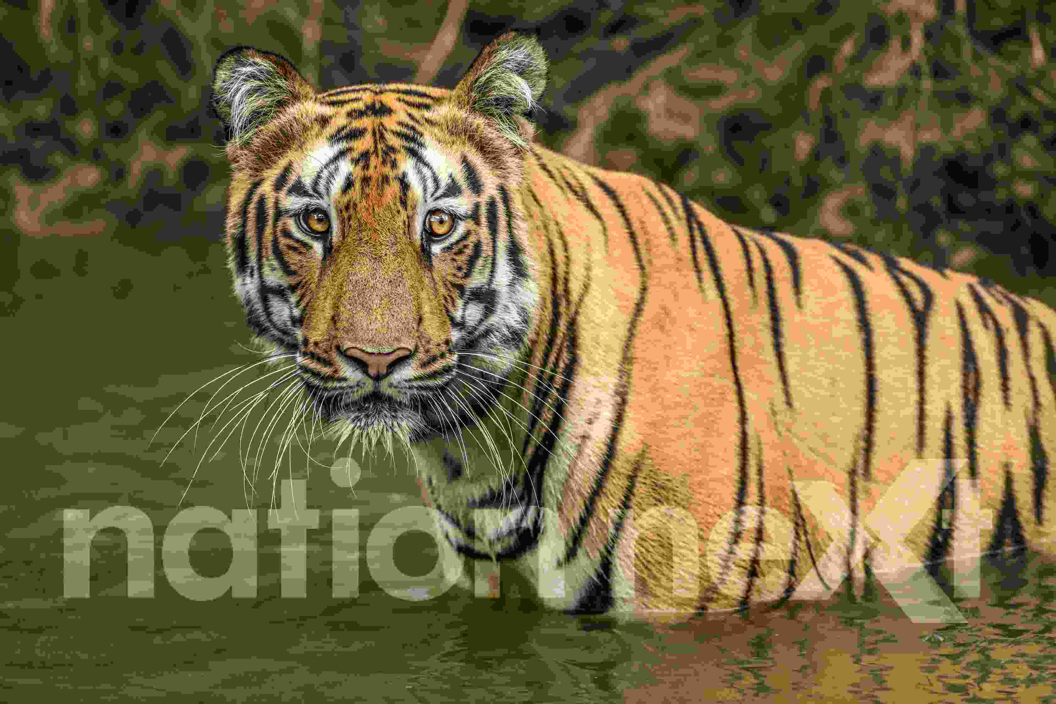 Representational Image (Picture by: Yash Chopda)